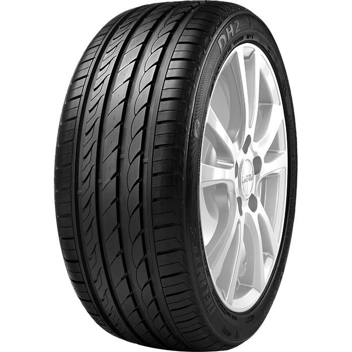 DELINTE 205/45R16 87W DH2